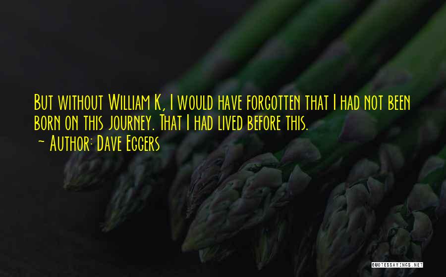 Dave Eggers Quotes: But Without William K, I Would Have Forgotten That I Had Not Been Born On This Journey. That I Had