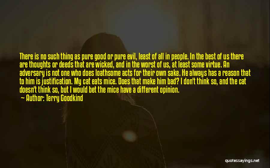 Terry Goodkind Quotes: There Is No Such Thing As Pure Good Or Pure Evil, Least Of All In People. In The Best Of