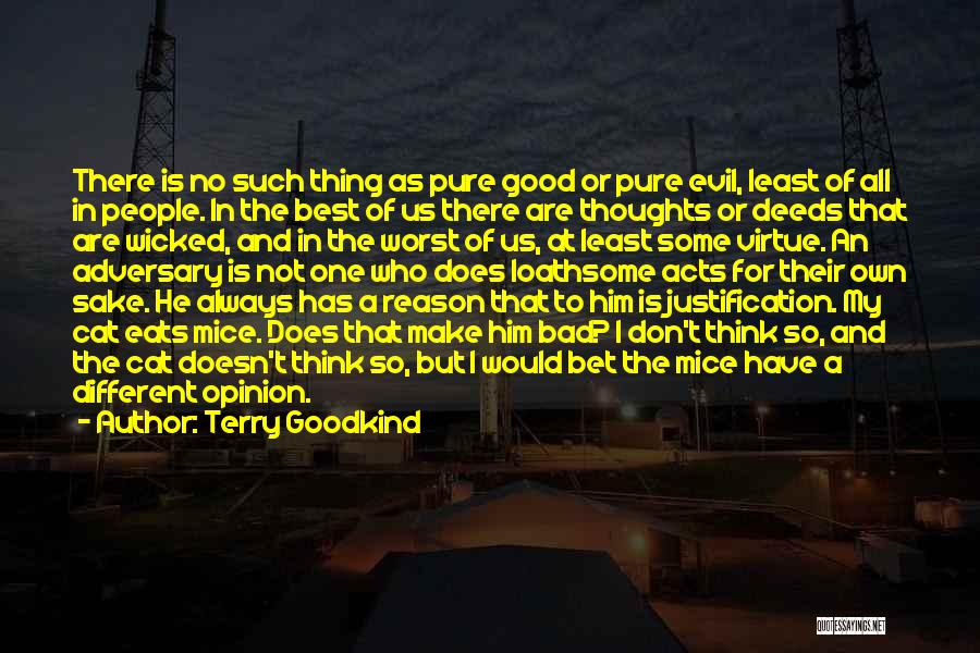 Terry Goodkind Quotes: There Is No Such Thing As Pure Good Or Pure Evil, Least Of All In People. In The Best Of