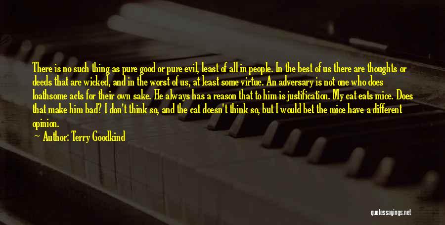 Terry Goodkind Quotes: There Is No Such Thing As Pure Good Or Pure Evil, Least Of All In People. In The Best Of