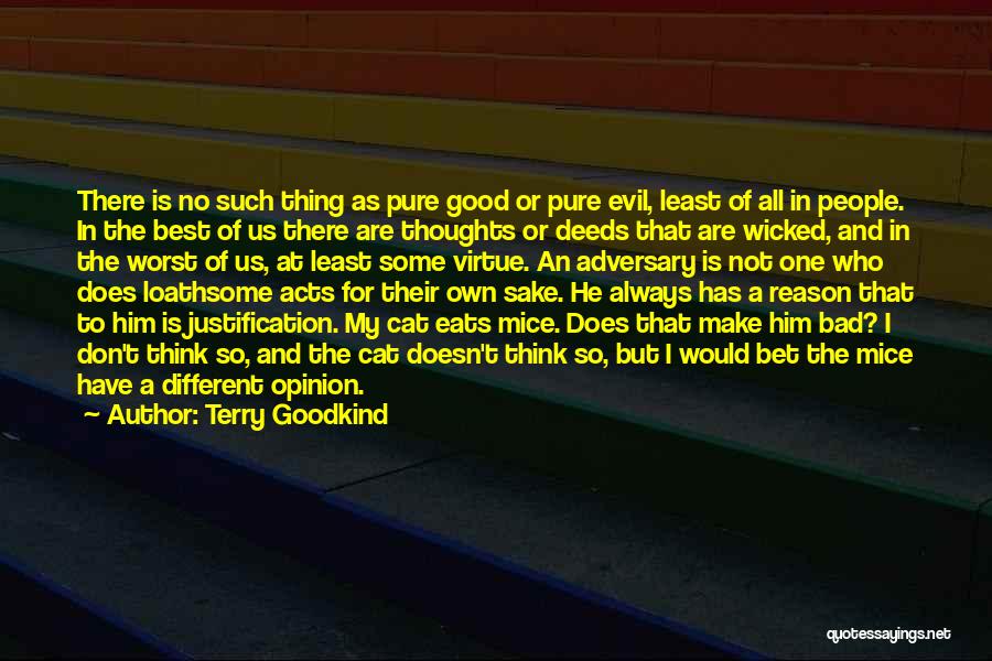 Terry Goodkind Quotes: There Is No Such Thing As Pure Good Or Pure Evil, Least Of All In People. In The Best Of