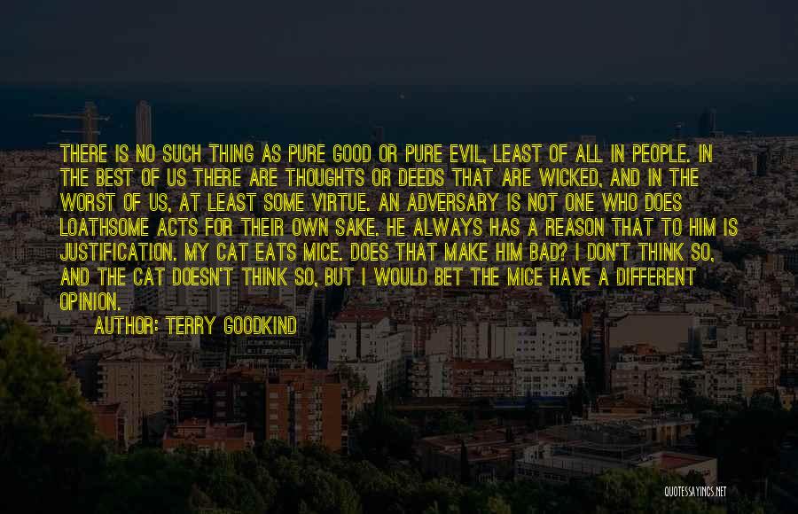 Terry Goodkind Quotes: There Is No Such Thing As Pure Good Or Pure Evil, Least Of All In People. In The Best Of