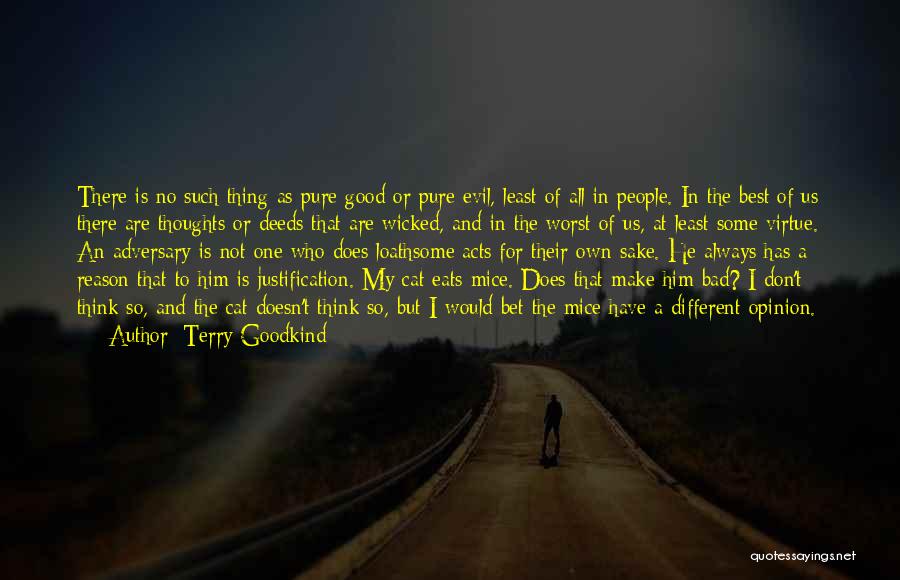 Terry Goodkind Quotes: There Is No Such Thing As Pure Good Or Pure Evil, Least Of All In People. In The Best Of