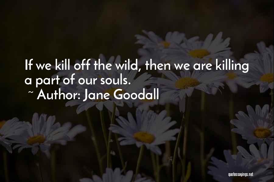 Jane Goodall Quotes: If We Kill Off The Wild, Then We Are Killing A Part Of Our Souls.