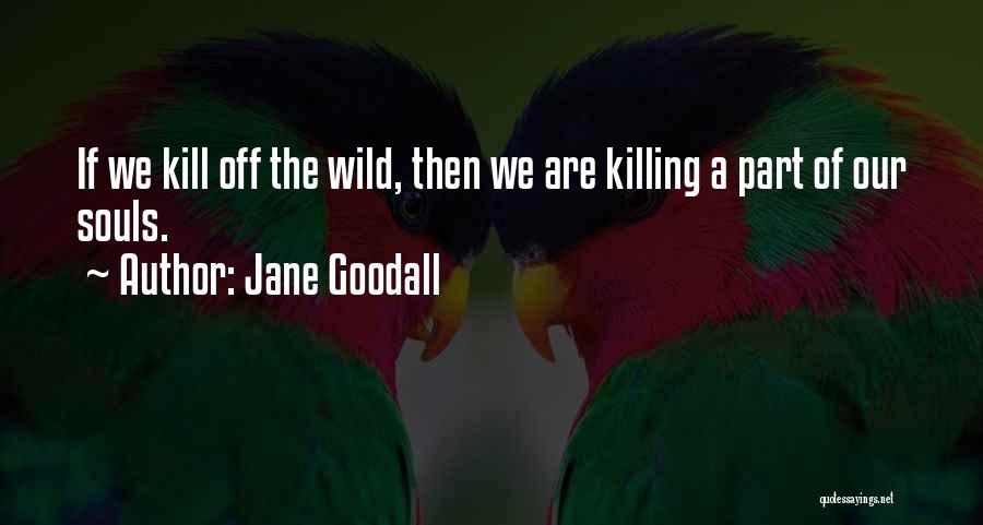 Jane Goodall Quotes: If We Kill Off The Wild, Then We Are Killing A Part Of Our Souls.