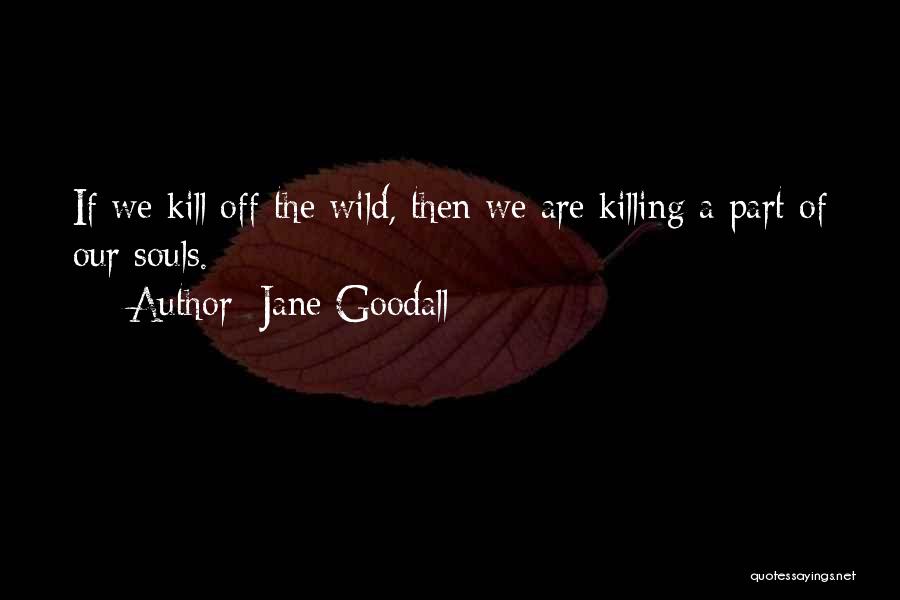 Jane Goodall Quotes: If We Kill Off The Wild, Then We Are Killing A Part Of Our Souls.