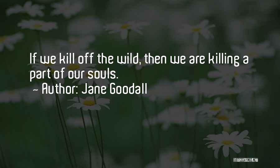 Jane Goodall Quotes: If We Kill Off The Wild, Then We Are Killing A Part Of Our Souls.
