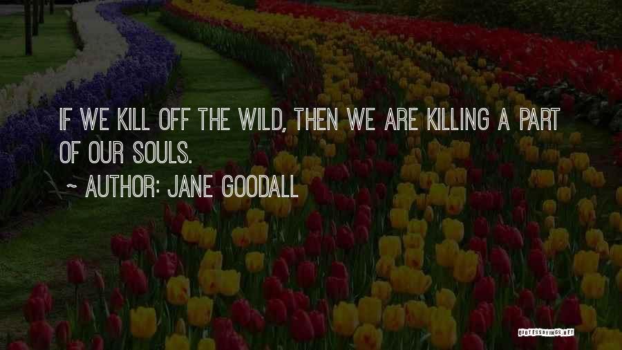 Jane Goodall Quotes: If We Kill Off The Wild, Then We Are Killing A Part Of Our Souls.