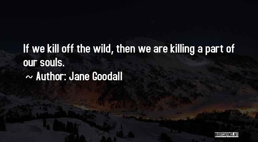Jane Goodall Quotes: If We Kill Off The Wild, Then We Are Killing A Part Of Our Souls.