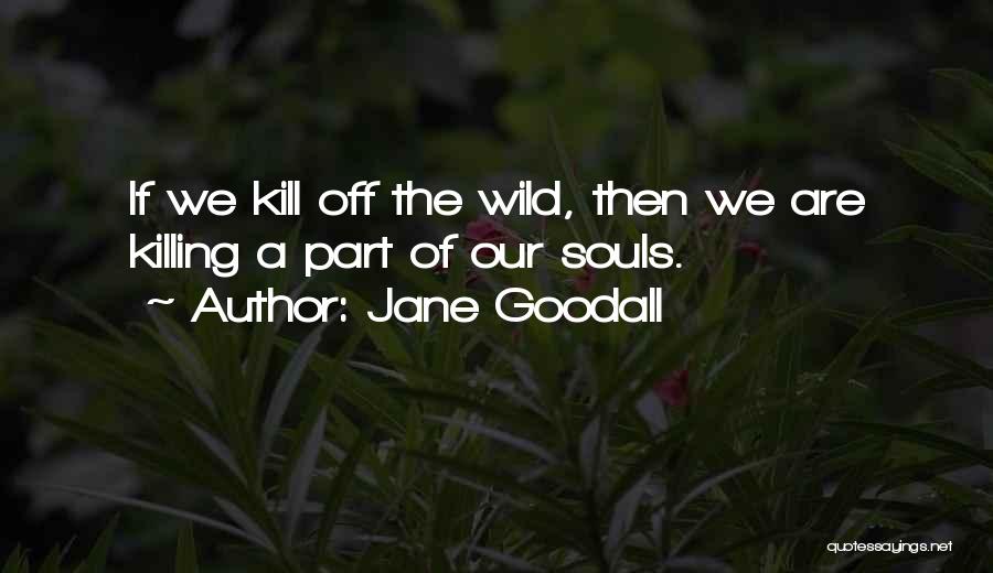 Jane Goodall Quotes: If We Kill Off The Wild, Then We Are Killing A Part Of Our Souls.