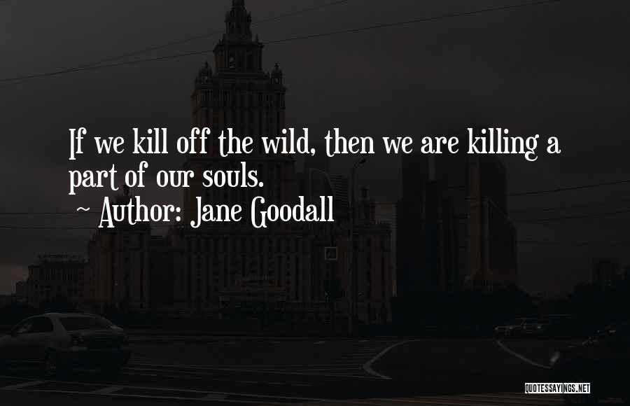 Jane Goodall Quotes: If We Kill Off The Wild, Then We Are Killing A Part Of Our Souls.