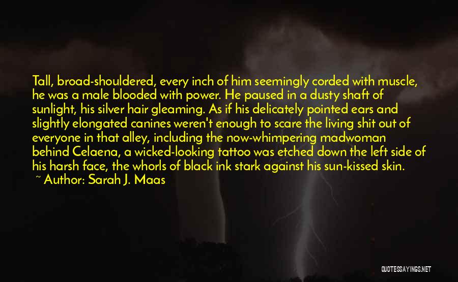 Sarah J. Maas Quotes: Tall, Broad-shouldered, Every Inch Of Him Seemingly Corded With Muscle, He Was A Male Blooded With Power. He Paused In