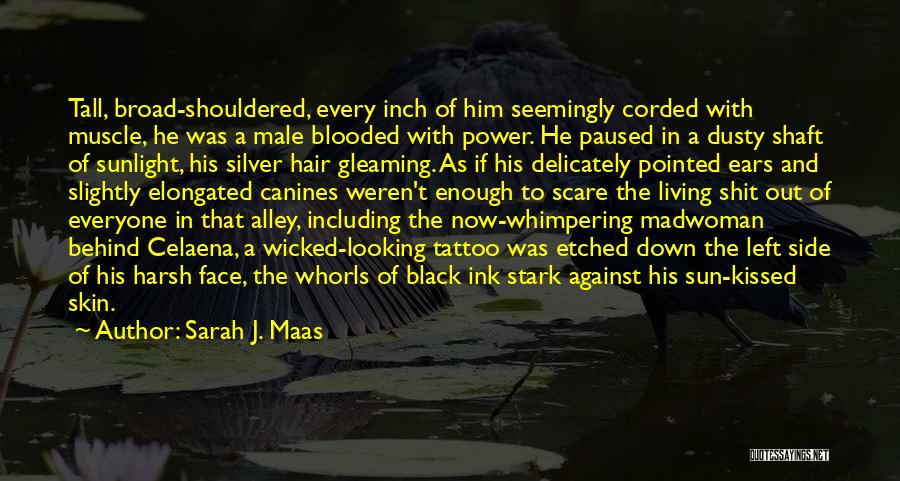 Sarah J. Maas Quotes: Tall, Broad-shouldered, Every Inch Of Him Seemingly Corded With Muscle, He Was A Male Blooded With Power. He Paused In