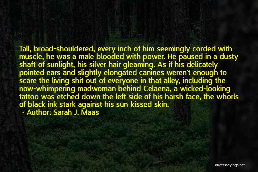 Sarah J. Maas Quotes: Tall, Broad-shouldered, Every Inch Of Him Seemingly Corded With Muscle, He Was A Male Blooded With Power. He Paused In