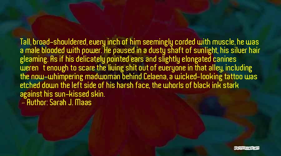 Sarah J. Maas Quotes: Tall, Broad-shouldered, Every Inch Of Him Seemingly Corded With Muscle, He Was A Male Blooded With Power. He Paused In