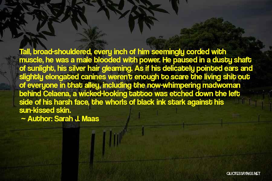 Sarah J. Maas Quotes: Tall, Broad-shouldered, Every Inch Of Him Seemingly Corded With Muscle, He Was A Male Blooded With Power. He Paused In