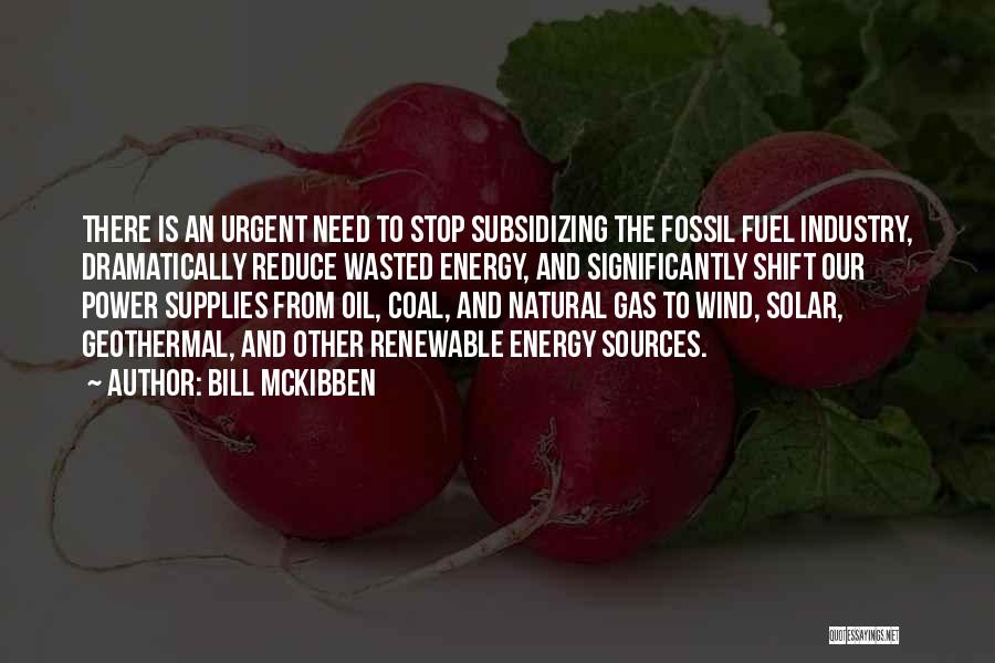 Bill McKibben Quotes: There Is An Urgent Need To Stop Subsidizing The Fossil Fuel Industry, Dramatically Reduce Wasted Energy, And Significantly Shift Our