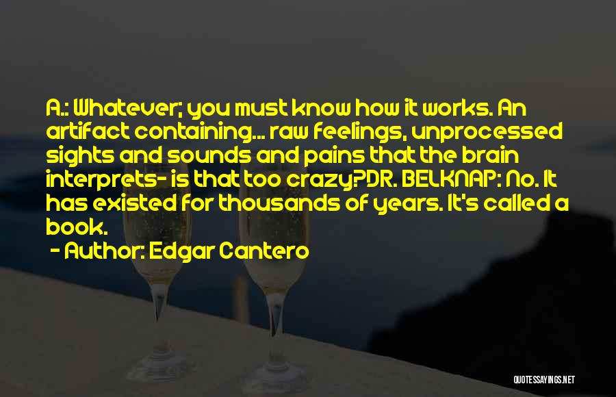 Edgar Cantero Quotes: A.: Whatever; You Must Know How It Works. An Artifact Containing... Raw Feelings, Unprocessed Sights And Sounds And Pains That