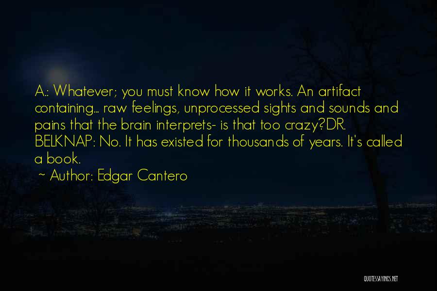 Edgar Cantero Quotes: A.: Whatever; You Must Know How It Works. An Artifact Containing... Raw Feelings, Unprocessed Sights And Sounds And Pains That