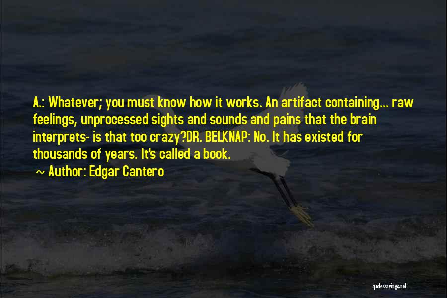 Edgar Cantero Quotes: A.: Whatever; You Must Know How It Works. An Artifact Containing... Raw Feelings, Unprocessed Sights And Sounds And Pains That