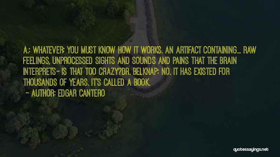Edgar Cantero Quotes: A.: Whatever; You Must Know How It Works. An Artifact Containing... Raw Feelings, Unprocessed Sights And Sounds And Pains That