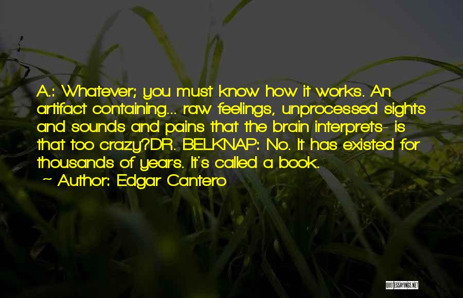 Edgar Cantero Quotes: A.: Whatever; You Must Know How It Works. An Artifact Containing... Raw Feelings, Unprocessed Sights And Sounds And Pains That