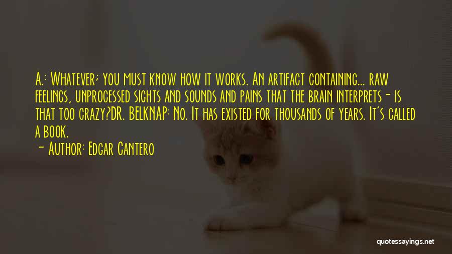 Edgar Cantero Quotes: A.: Whatever; You Must Know How It Works. An Artifact Containing... Raw Feelings, Unprocessed Sights And Sounds And Pains That