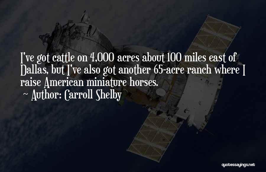 Carroll Shelby Quotes: I've Got Cattle On 4,000 Acres About 100 Miles East Of Dallas, But I've Also Got Another 65-acre Ranch Where
