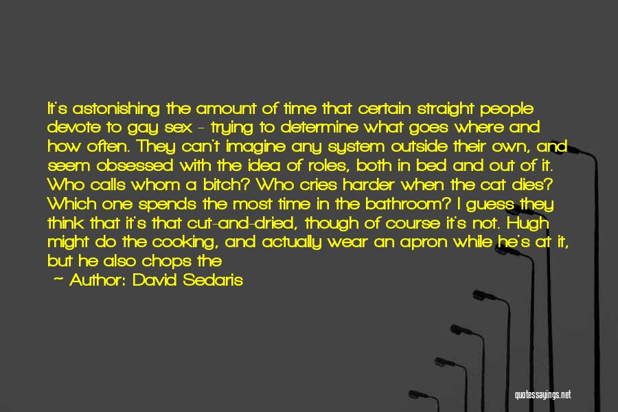 David Sedaris Quotes: It's Astonishing The Amount Of Time That Certain Straight People Devote To Gay Sex - Trying To Determine What Goes