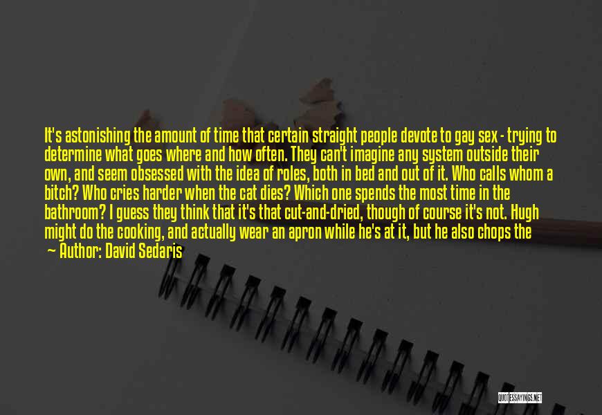 David Sedaris Quotes: It's Astonishing The Amount Of Time That Certain Straight People Devote To Gay Sex - Trying To Determine What Goes