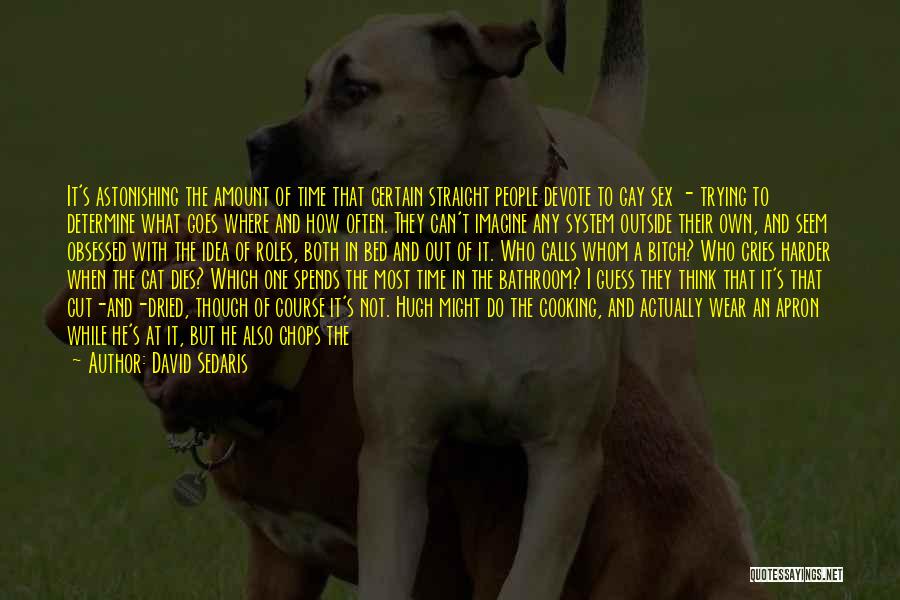 David Sedaris Quotes: It's Astonishing The Amount Of Time That Certain Straight People Devote To Gay Sex - Trying To Determine What Goes