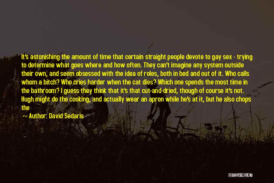David Sedaris Quotes: It's Astonishing The Amount Of Time That Certain Straight People Devote To Gay Sex - Trying To Determine What Goes