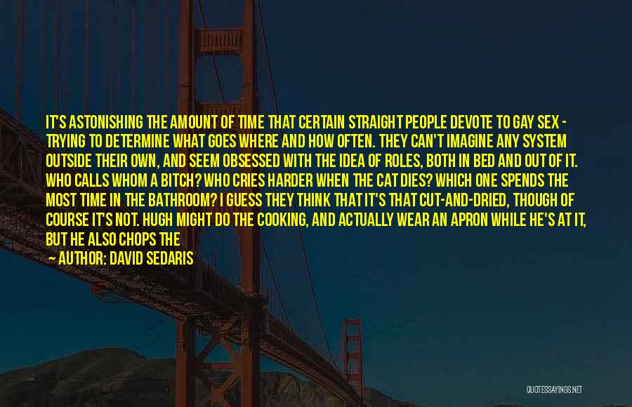 David Sedaris Quotes: It's Astonishing The Amount Of Time That Certain Straight People Devote To Gay Sex - Trying To Determine What Goes
