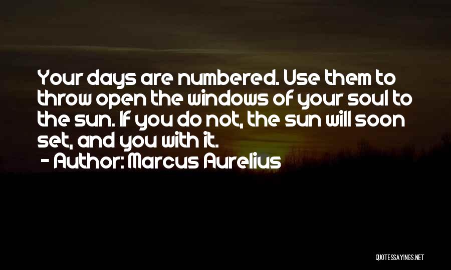 Marcus Aurelius Quotes: Your Days Are Numbered. Use Them To Throw Open The Windows Of Your Soul To The Sun. If You Do