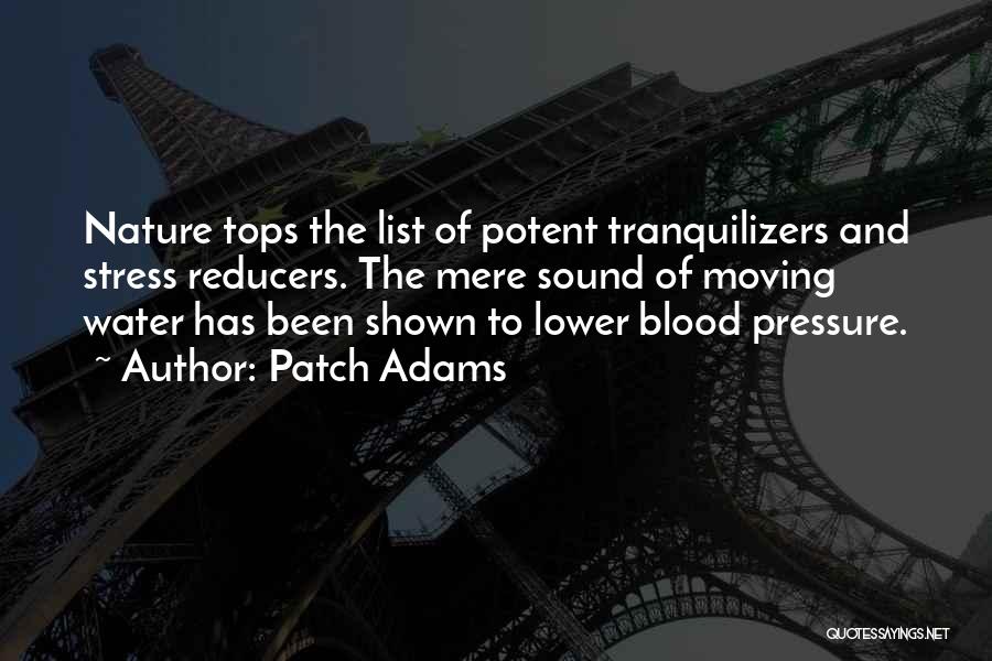 Patch Adams Quotes: Nature Tops The List Of Potent Tranquilizers And Stress Reducers. The Mere Sound Of Moving Water Has Been Shown To