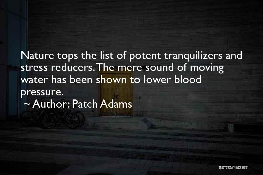 Patch Adams Quotes: Nature Tops The List Of Potent Tranquilizers And Stress Reducers. The Mere Sound Of Moving Water Has Been Shown To