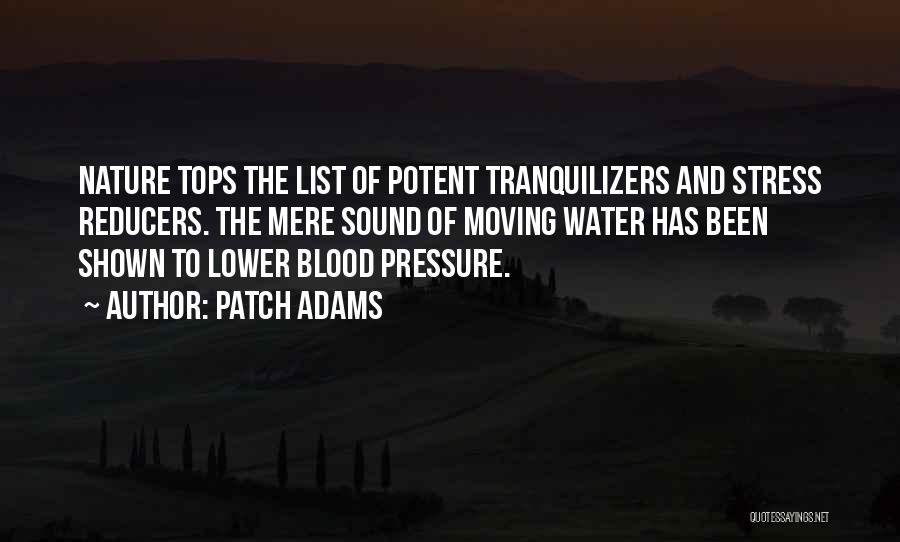 Patch Adams Quotes: Nature Tops The List Of Potent Tranquilizers And Stress Reducers. The Mere Sound Of Moving Water Has Been Shown To