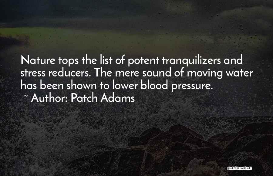 Patch Adams Quotes: Nature Tops The List Of Potent Tranquilizers And Stress Reducers. The Mere Sound Of Moving Water Has Been Shown To