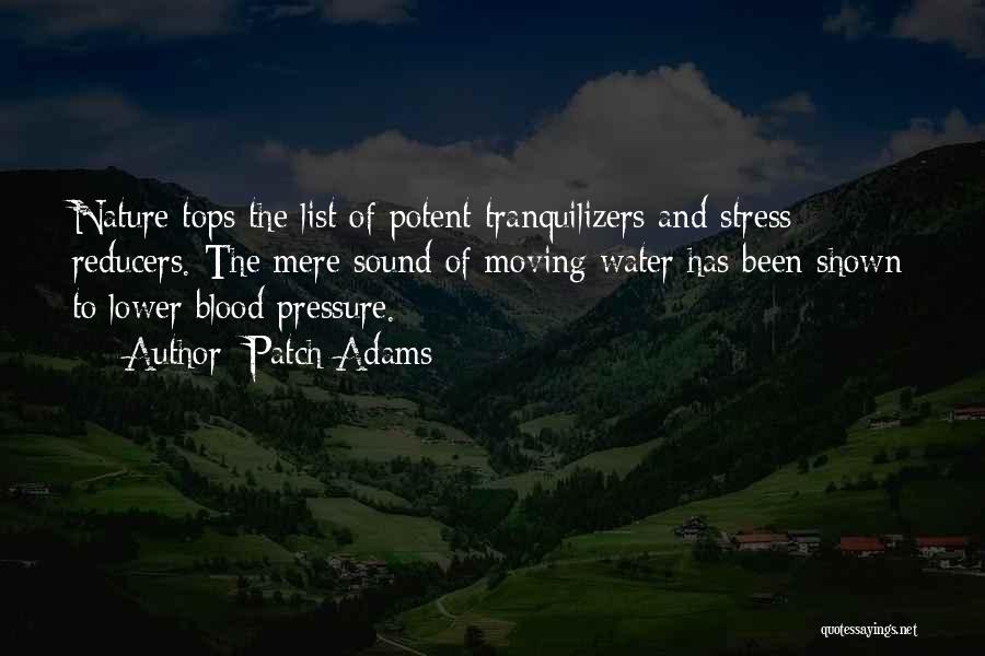 Patch Adams Quotes: Nature Tops The List Of Potent Tranquilizers And Stress Reducers. The Mere Sound Of Moving Water Has Been Shown To