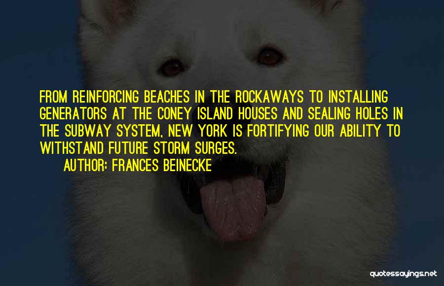 Frances Beinecke Quotes: From Reinforcing Beaches In The Rockaways To Installing Generators At The Coney Island Houses And Sealing Holes In The Subway