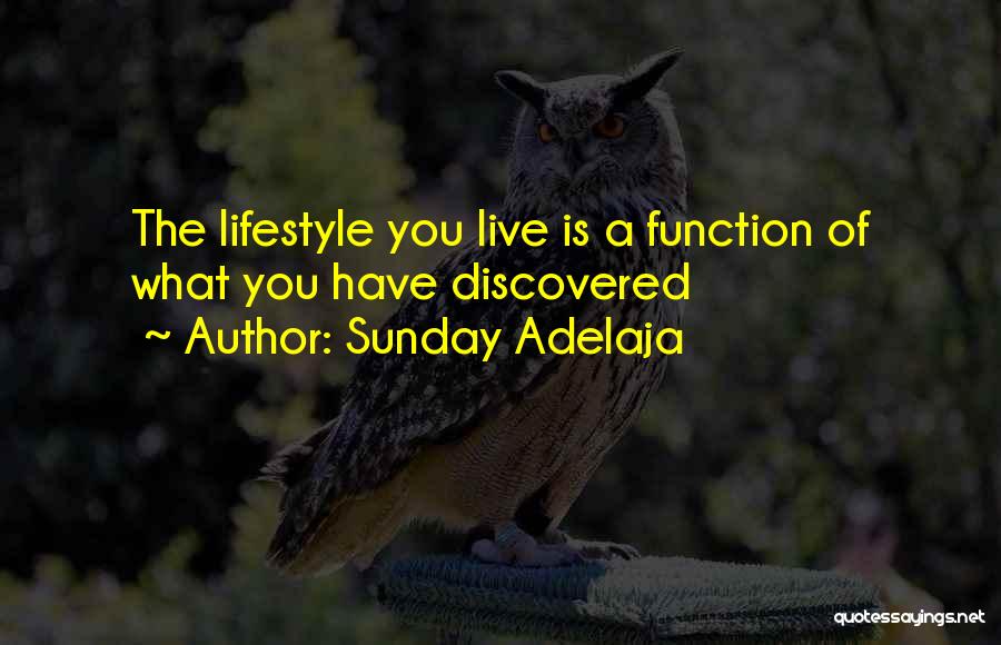 Sunday Adelaja Quotes: The Lifestyle You Live Is A Function Of What You Have Discovered
