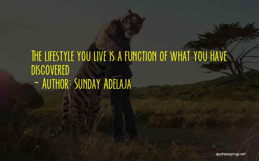 Sunday Adelaja Quotes: The Lifestyle You Live Is A Function Of What You Have Discovered