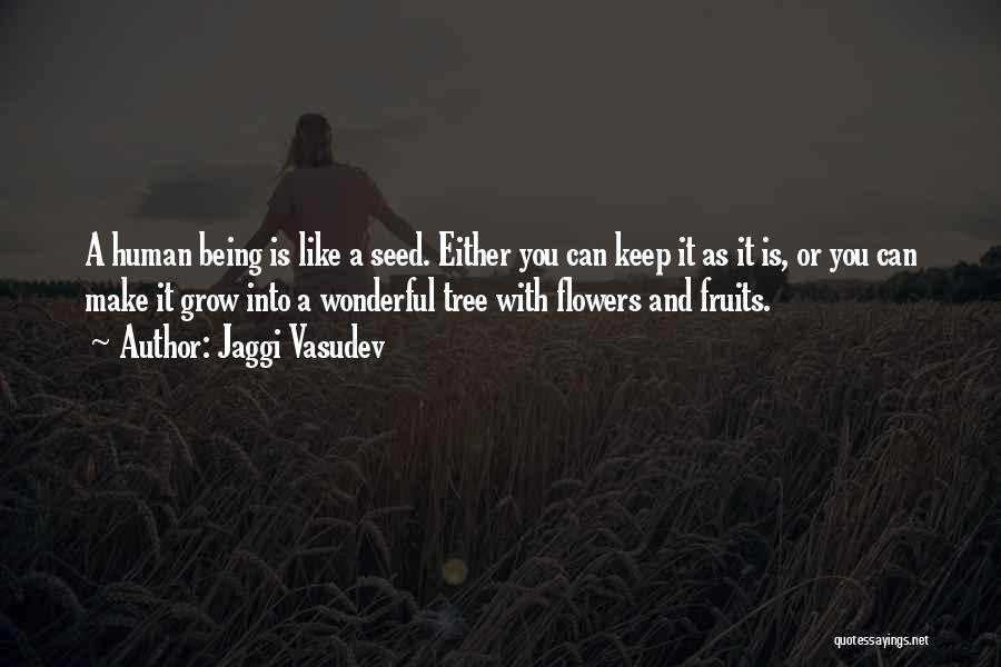 Jaggi Vasudev Quotes: A Human Being Is Like A Seed. Either You Can Keep It As It Is, Or You Can Make It