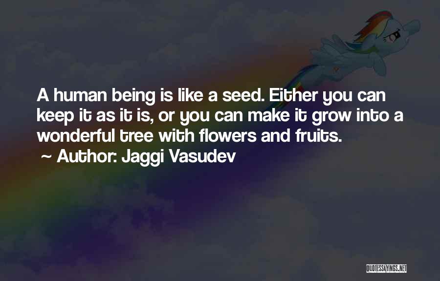 Jaggi Vasudev Quotes: A Human Being Is Like A Seed. Either You Can Keep It As It Is, Or You Can Make It