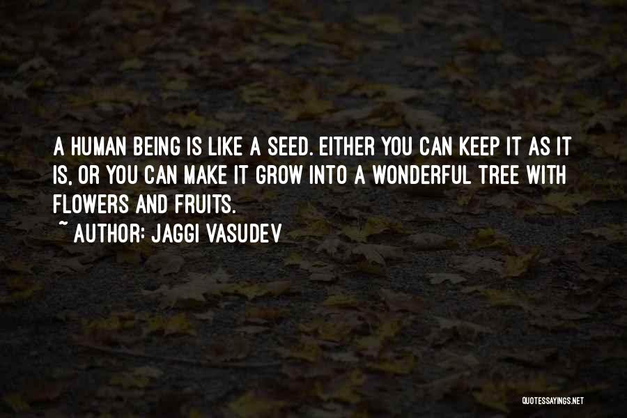 Jaggi Vasudev Quotes: A Human Being Is Like A Seed. Either You Can Keep It As It Is, Or You Can Make It