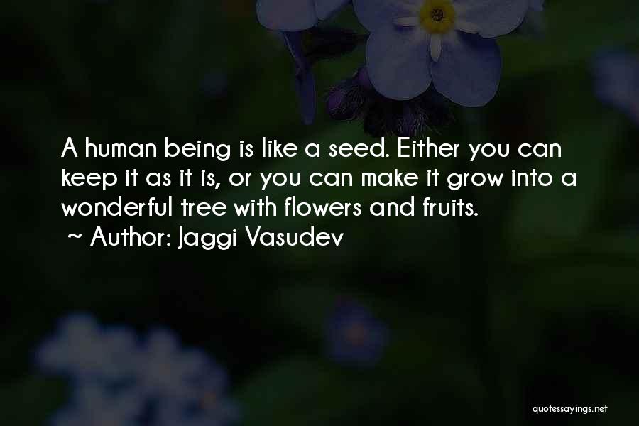 Jaggi Vasudev Quotes: A Human Being Is Like A Seed. Either You Can Keep It As It Is, Or You Can Make It