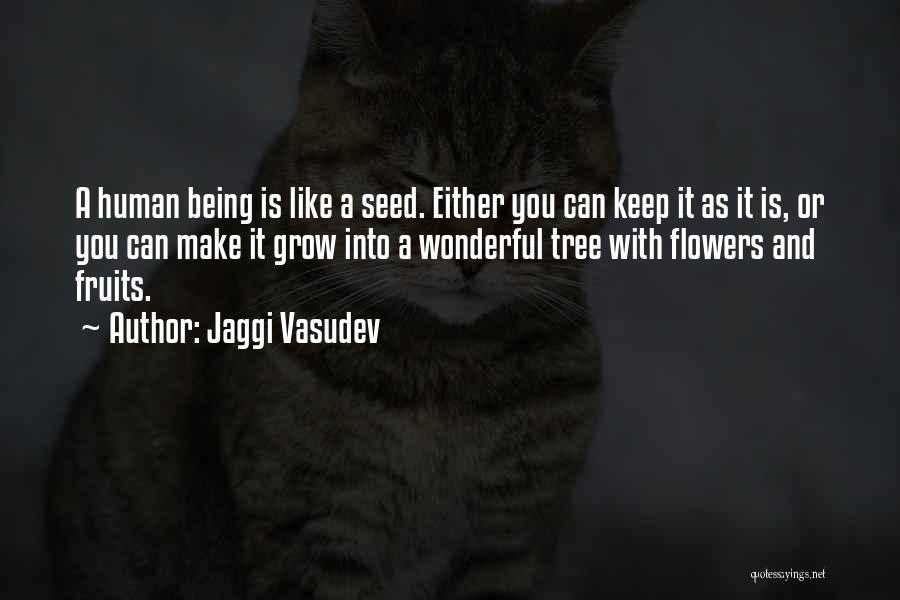 Jaggi Vasudev Quotes: A Human Being Is Like A Seed. Either You Can Keep It As It Is, Or You Can Make It