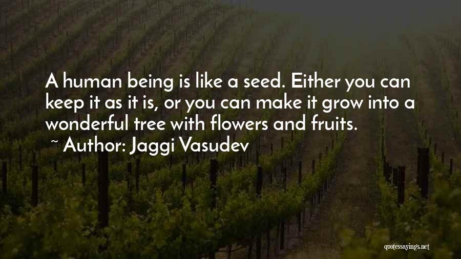 Jaggi Vasudev Quotes: A Human Being Is Like A Seed. Either You Can Keep It As It Is, Or You Can Make It