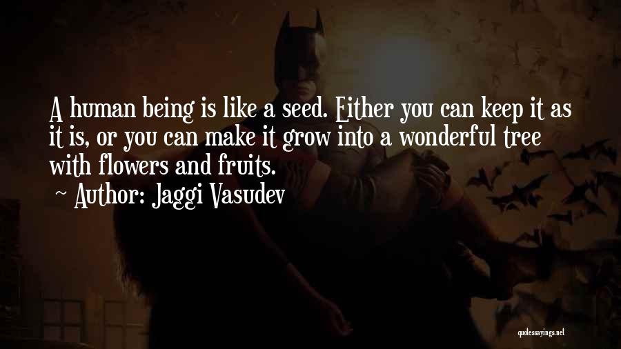 Jaggi Vasudev Quotes: A Human Being Is Like A Seed. Either You Can Keep It As It Is, Or You Can Make It