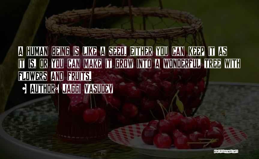 Jaggi Vasudev Quotes: A Human Being Is Like A Seed. Either You Can Keep It As It Is, Or You Can Make It